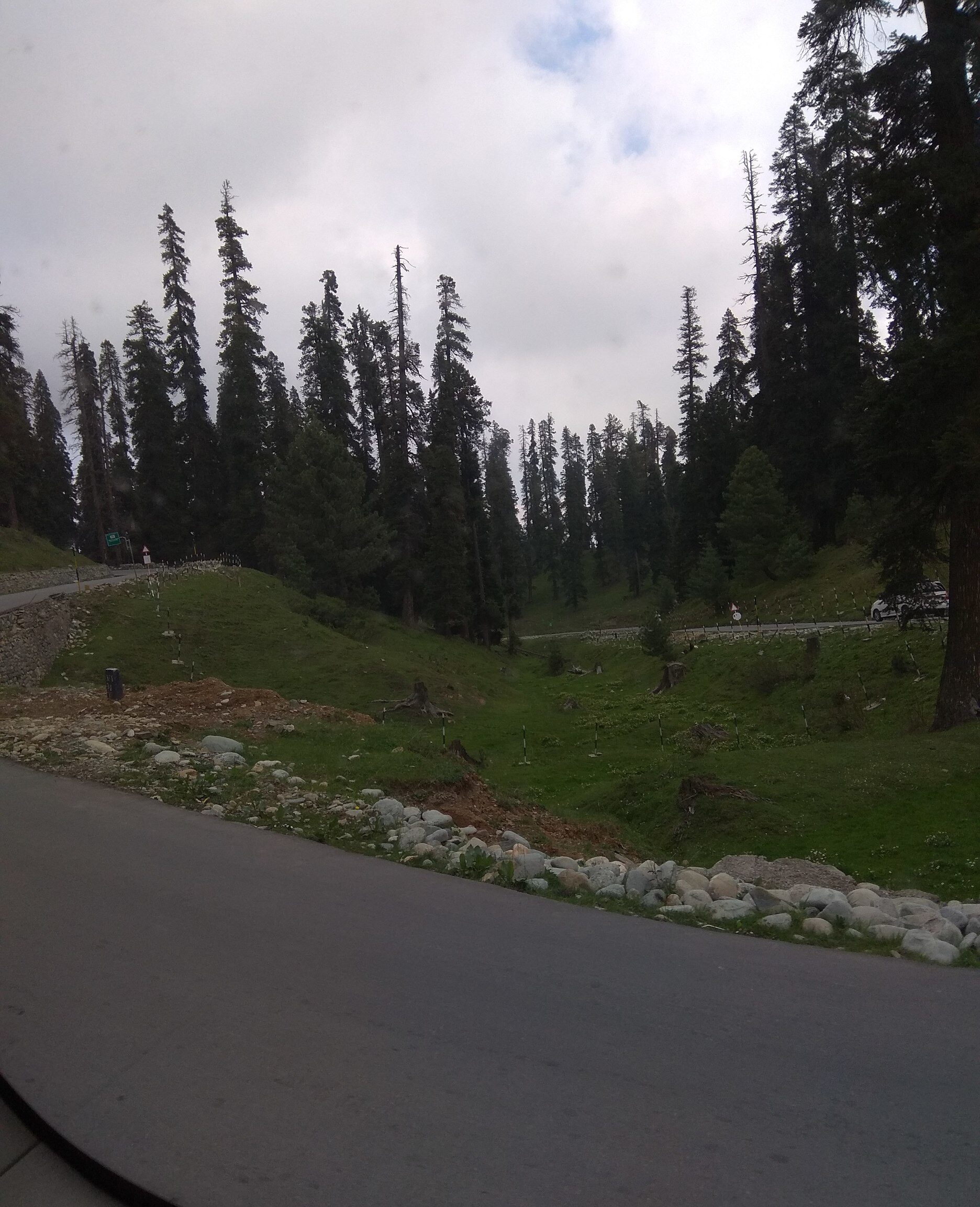 On My Way to Sopore 14 Meadows 60 e1746371941999