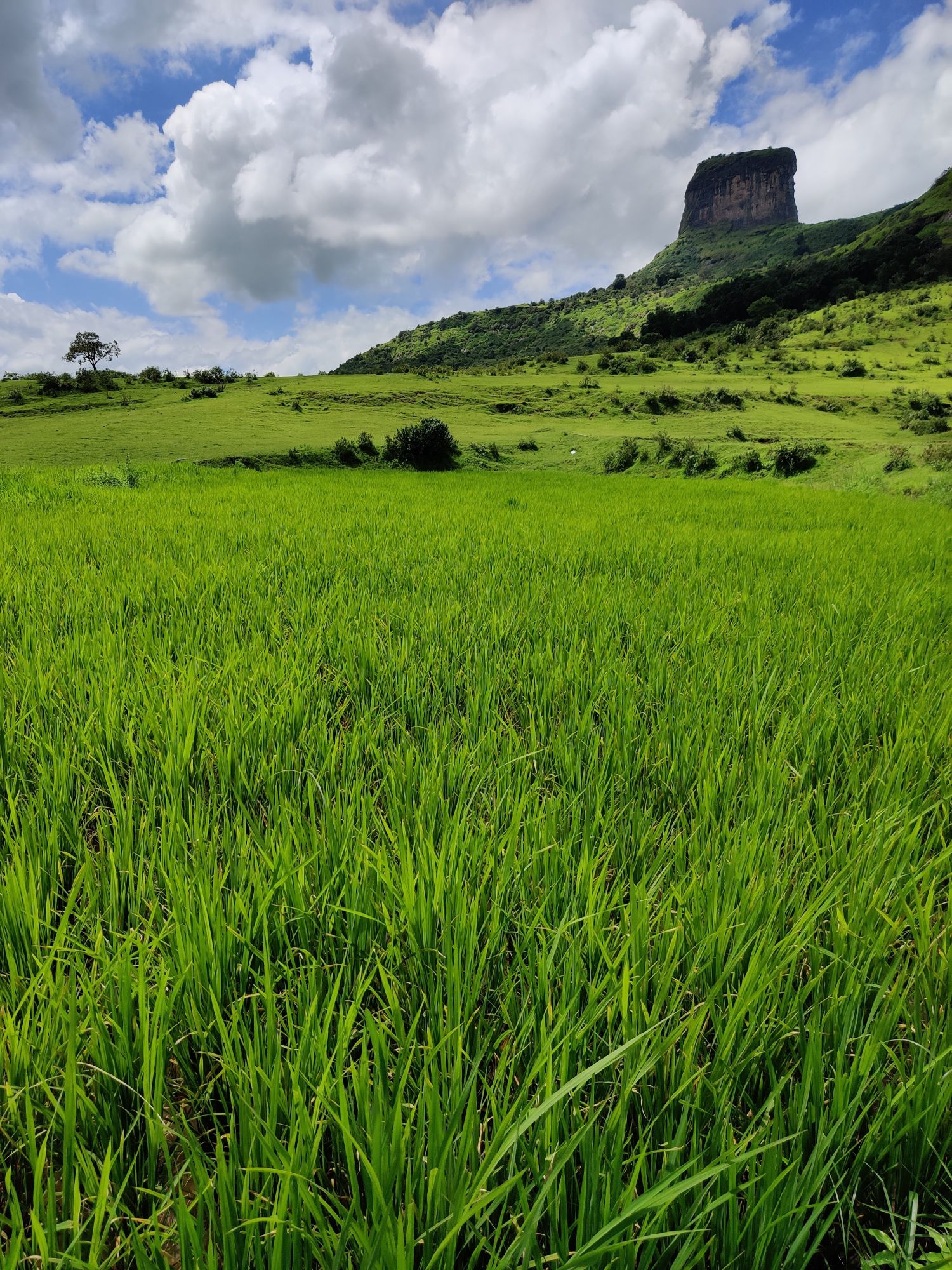 IN Rendezvous with Nasik | Weekend Getaway 16 Nasik