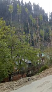 The Scenic Path- Sopore