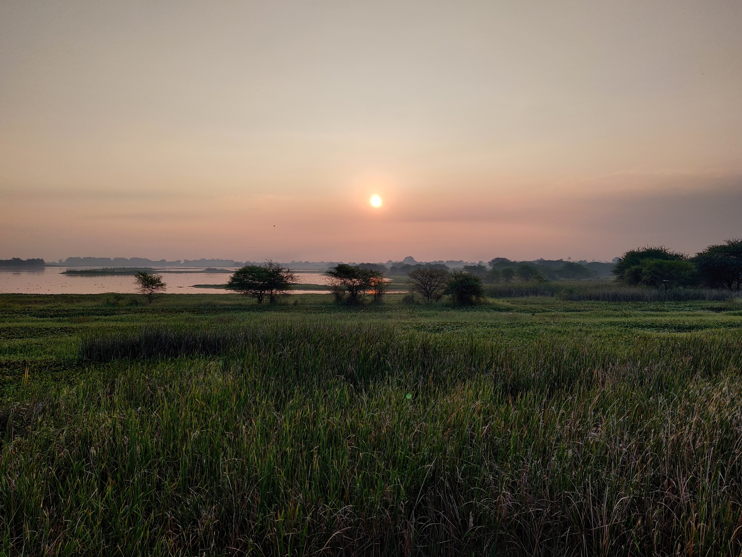 My Daycation: Nandur Madhmeshwar “Bharatpur of Maharashtra”