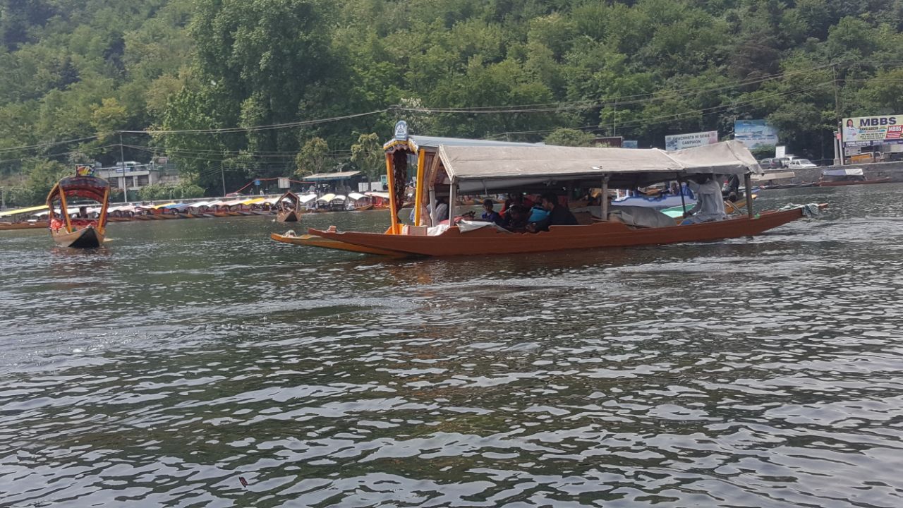 The Bold and the Beautiful-The Dal Lake Srinagar 13 Dal Lake