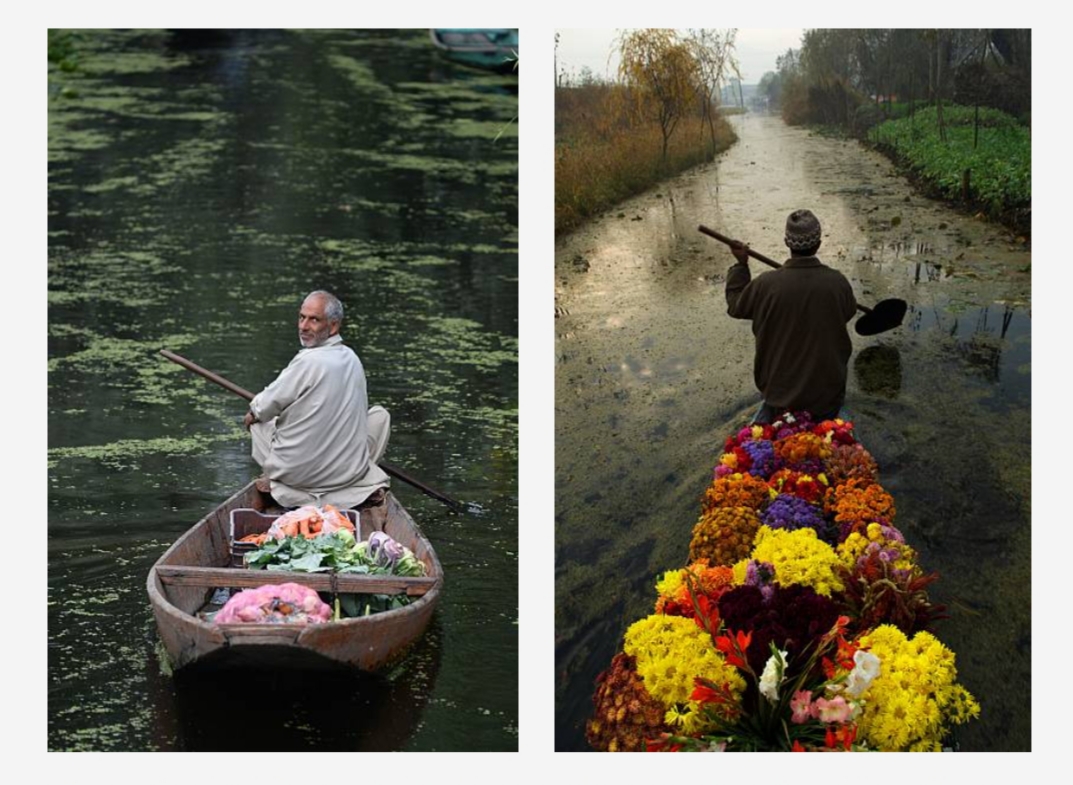 The Bold and the Beautiful-The Dal Lake Srinagar 16 IMG 20210205 WA0085