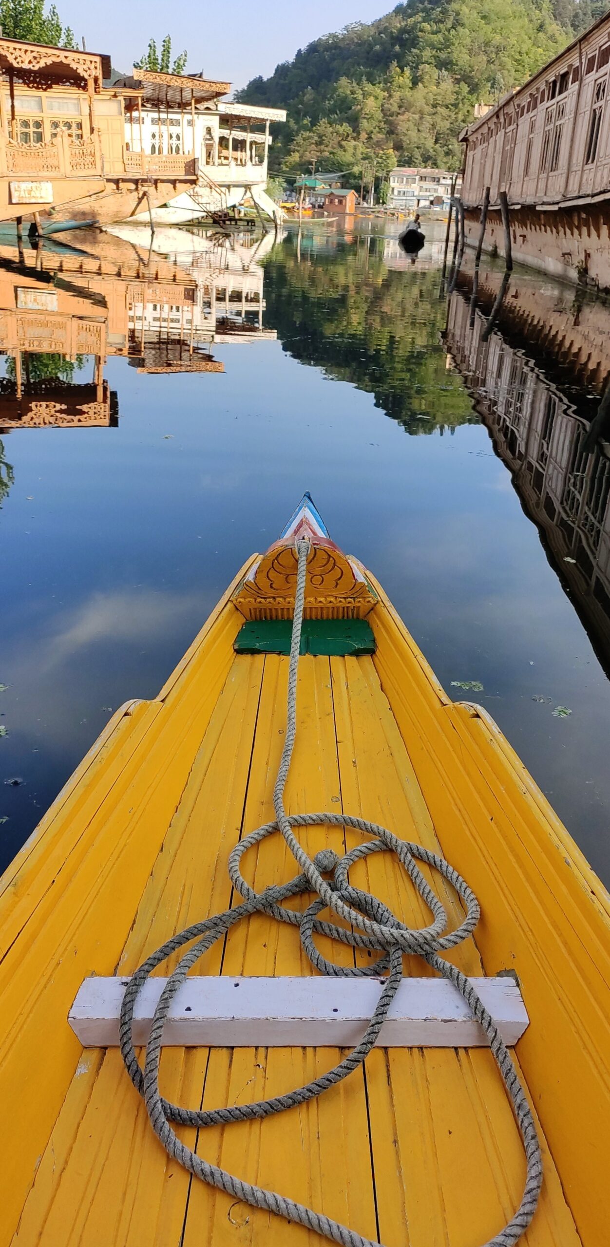 The Bold and the Beautiful-The Dal Lake Srinagar