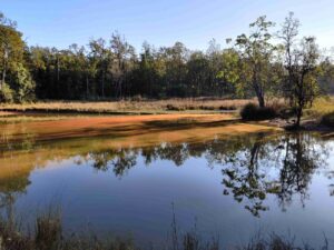 The beautiful algae lake 1 1