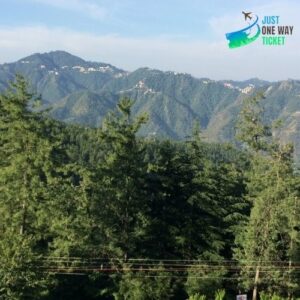 Deodar in the God's land 