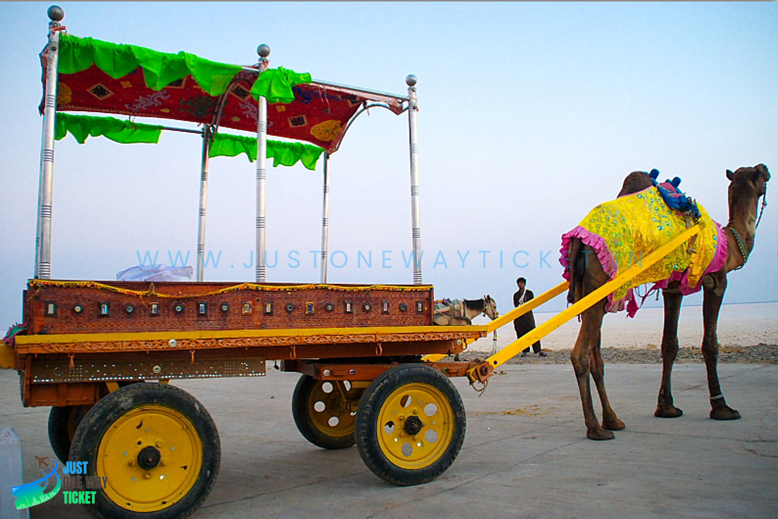 Camel Cart Ajmer