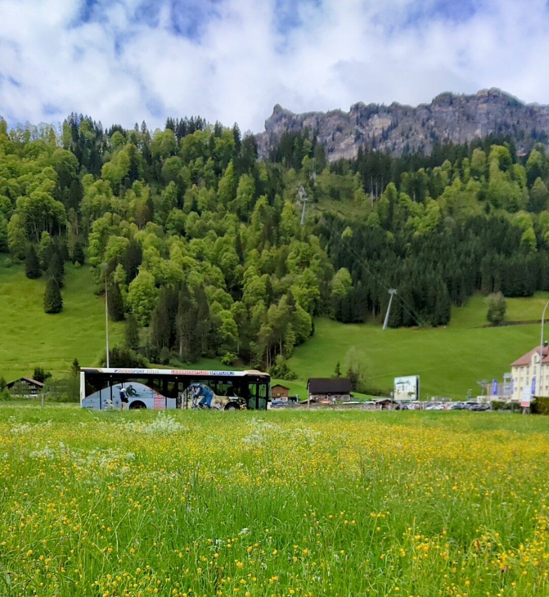 Day trip to Mount Titlis: Switzerland